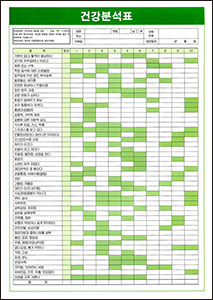 건강분석표(약 30매)