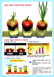 [코팅자료] 수돗물 vs 역삼투압 vs 이스프링 양파가 자라는 비교사진