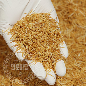 구운 카다이프 500g