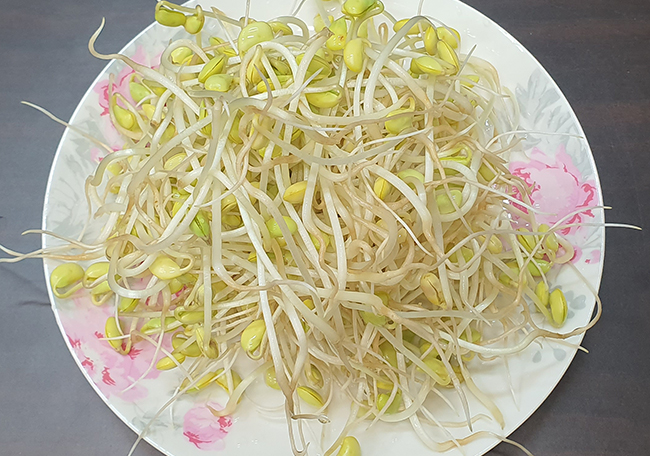 푸로틴통 활용한 콩나물 키우기